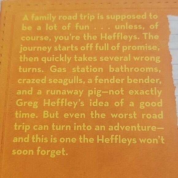 Diary of a Wimpy Kid: The Long Haul Book - Picture 3 of 5